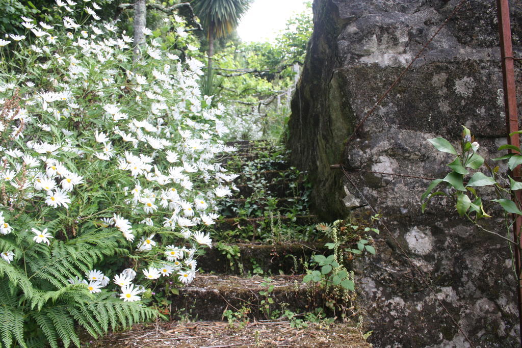 Quinta Das Leiras Santo Tirso Exterior foto