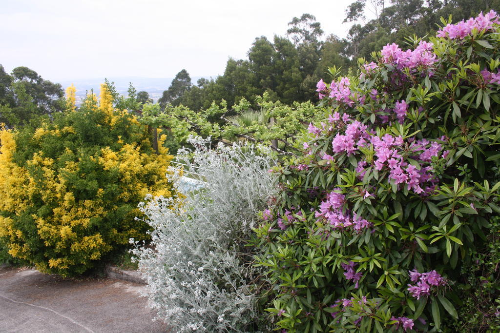 Quinta Das Leiras Santo Tirso Exterior foto