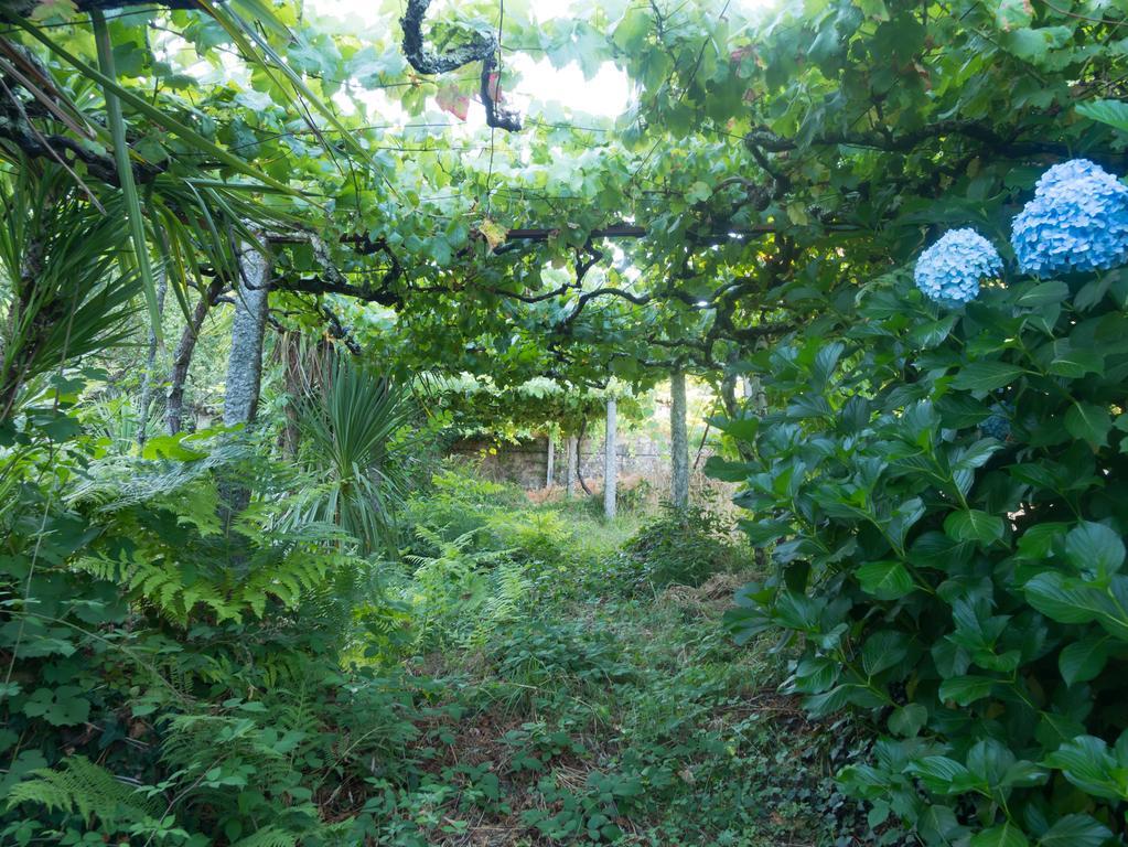 Quinta Das Leiras Santo Tirso Exterior foto