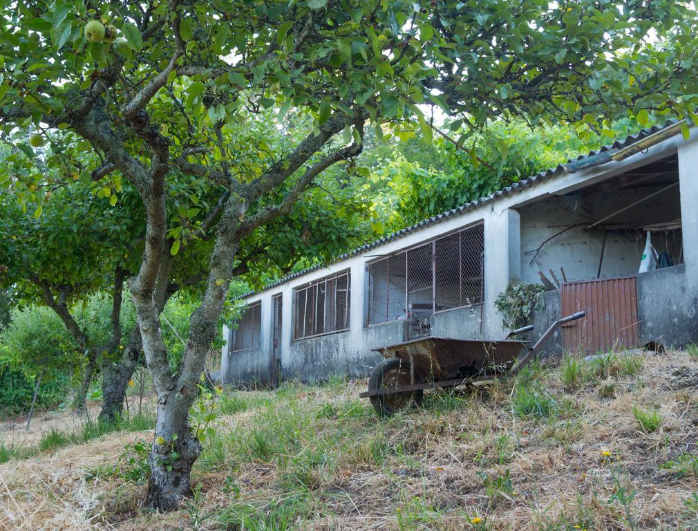 Quinta Das Leiras Santo Tirso Exterior foto